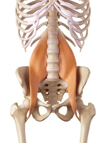 Psoas Release